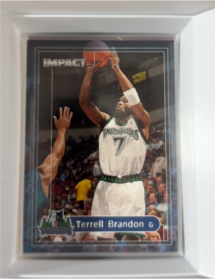 1999-00 SkyBox Impact #102 Terrell Brandon — front