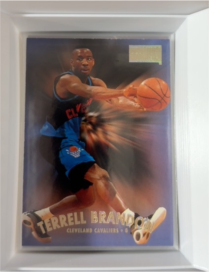 1997-98 SkyBox Premium #109 Terrell Brandon — front