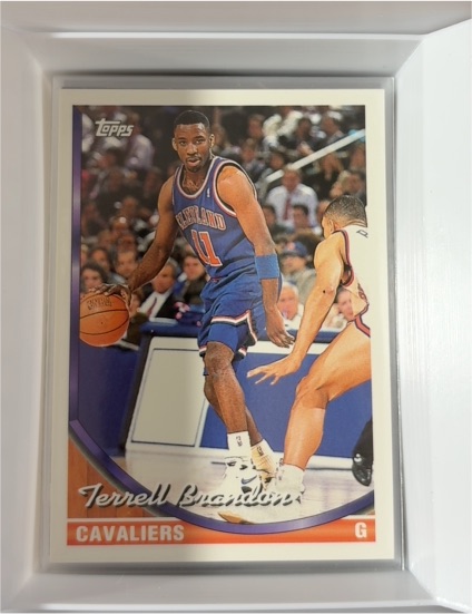 1993-94 Topps #183 Terrell Brandon — front