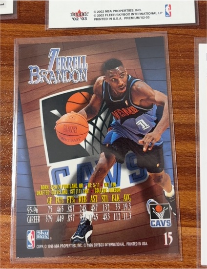 1995-96 Skybox #15 Terrell Brandon — front