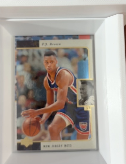 1995-96 Upper Deck SP #84 P.J. Brown — front