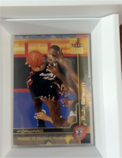 2000-01 Fleer Premium #63 P.J. Brown — front