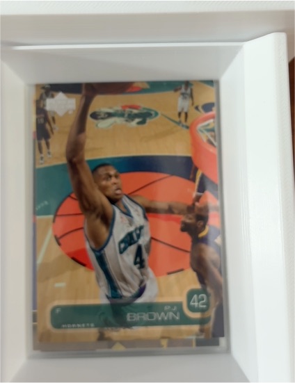 2002-03 Upper Deck #109 P.J. Brown — front