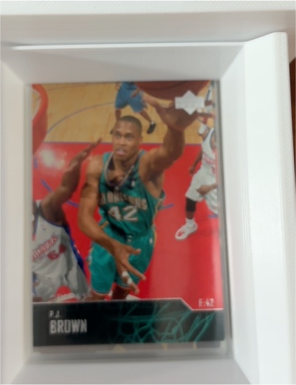 2003-04 Upper Deck #42 P.J. Brown — front
