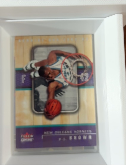 2002-03 Fleer Genuine #15 P.J. Brown — front