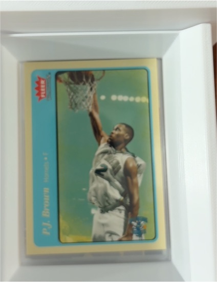 2004-05 Fleer Tradition #7 P.J. Brown — front