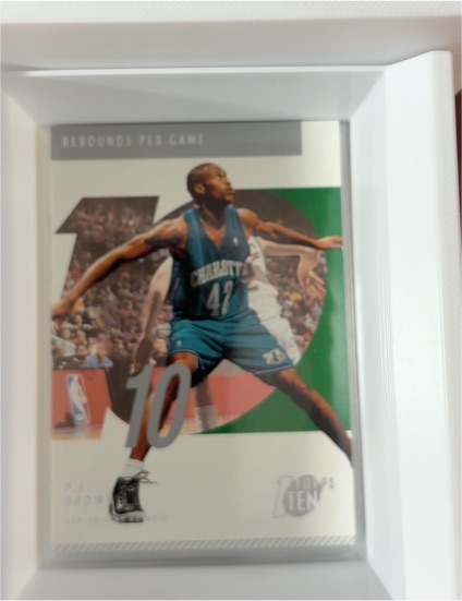 2002-03 Topps Ten #30 P.J. Brown — front