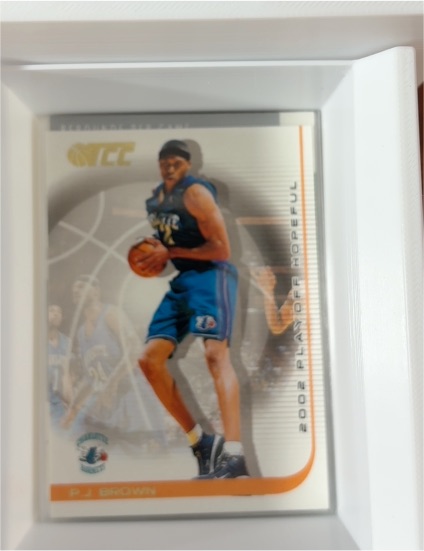 2001-02 Topps TCC #24 P.J. Brown — front