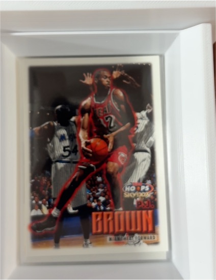 1999-00 Skybox NBA Hoops #18 P.J. Brown — front