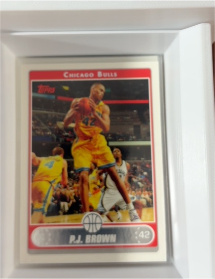 2006-07 Topps #212 P.J. Brown — front