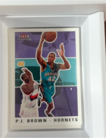 2003-04 Fleer Tradition #174 P.J. Brown — front