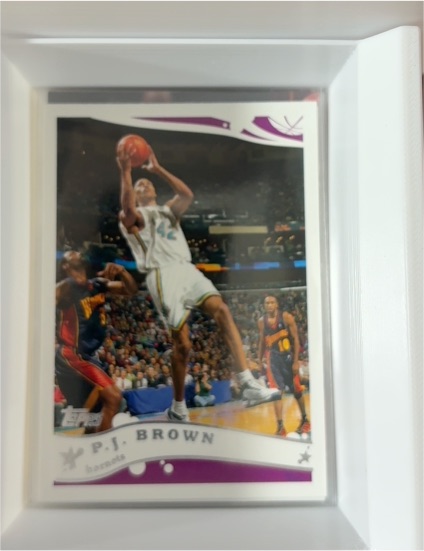 2005-06 Topps #184 P.J. Brown — front