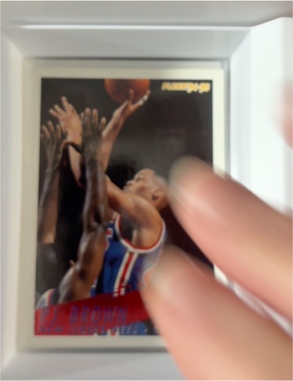 1994-95 Fleer #141 P.J. Brown — front