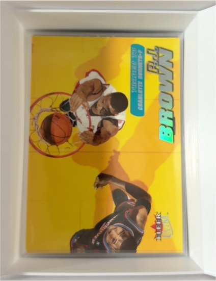 2000-01 Fleer Ultra #48 P.J. Brown — front