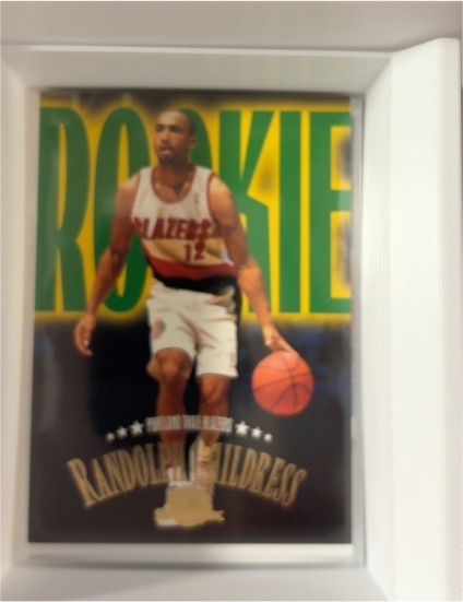 1995-96 SkyBox Premium #238 Randolph Childress Rookie — front