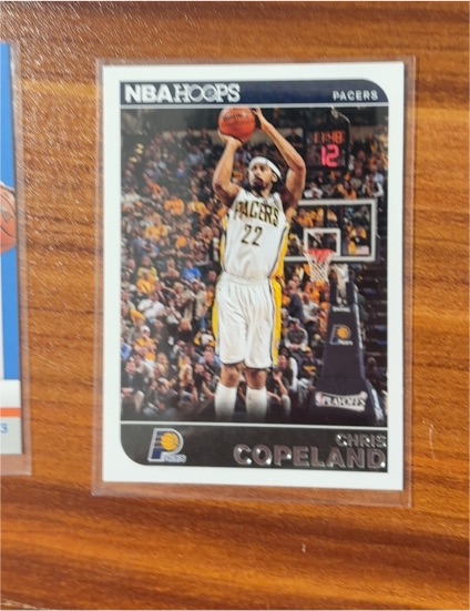 2014-15 Panini NBA Hoops #185 Chris Copeland — front