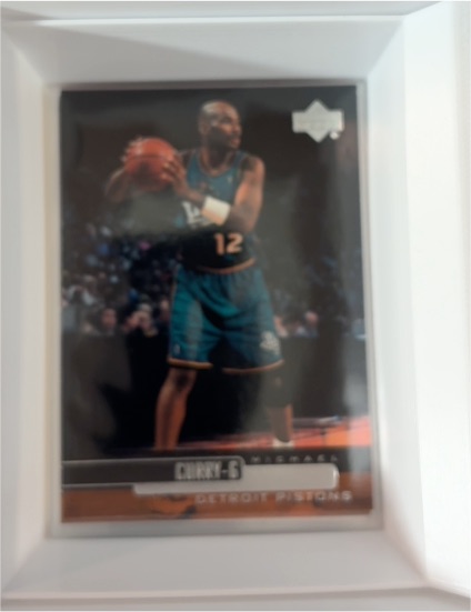 1999-00 Upper Deck #215 Michael Curry — front
