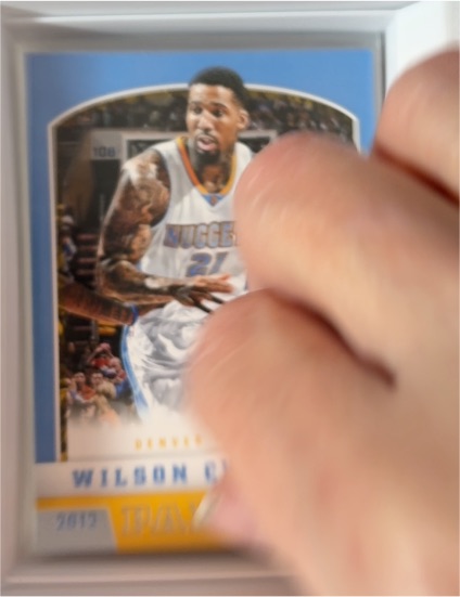 2012-13 Panini Basketball #174 Wilson Chandler — front