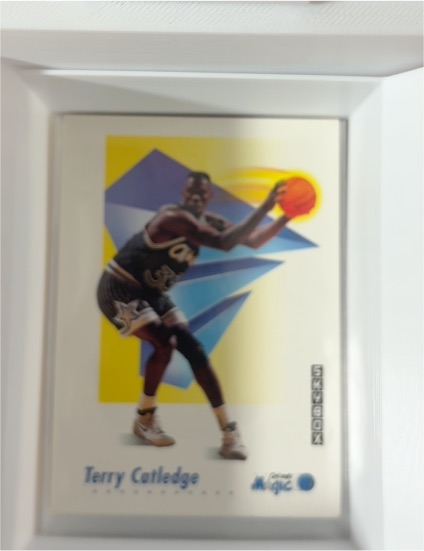 1991-92 SkyBox #202 Terry Catledge — front