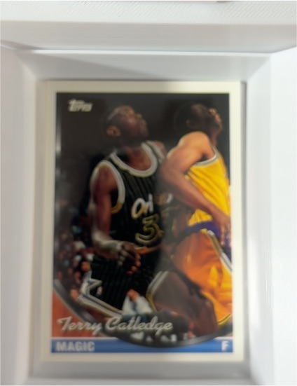 1993-94 Topps #18 Terry Catledge — front