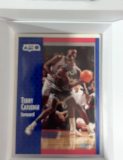 1991-92 Fleer #144 Terry Catledge — front