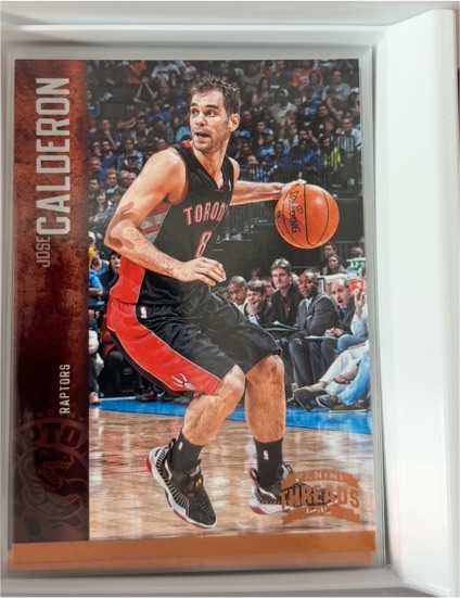 2012-13 Panini Threads #135 Jose Calderon — front