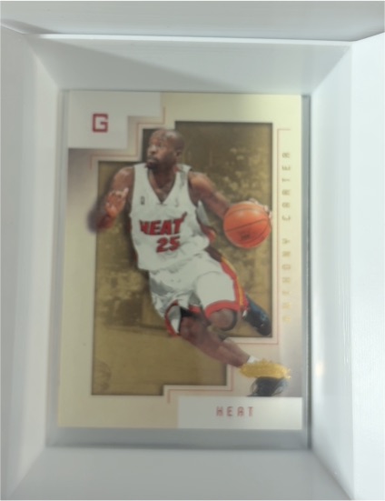 2004-05 Skybox #G Voshon Lenard — front