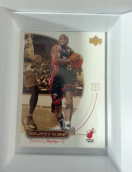2000-01 Upper Deck Ovation #28 Anthony Carter — front