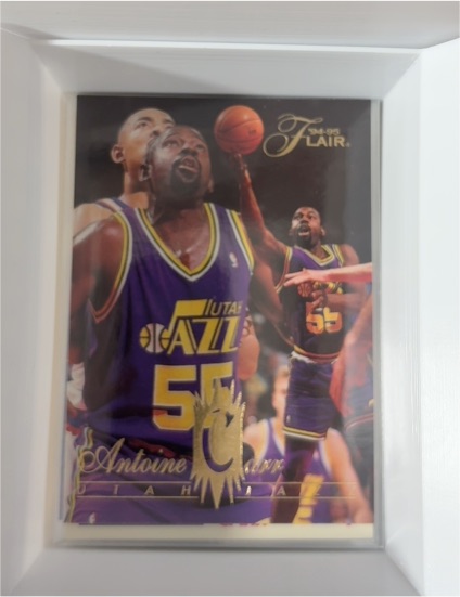 1994-95 Fleer Flair #312 Antoine Carr — front