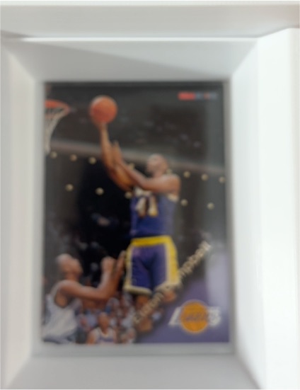 1996-97 Hoops #76 Elden Campbell — front
