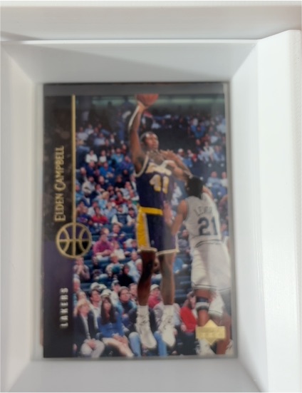 1994-95 Upper Deck #70 Elden Campbell — front