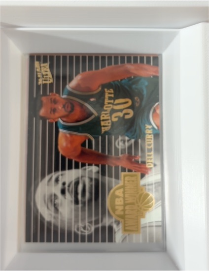 1994-95 Fleer Ultra NBA Award Winner #1 Dell Curry — front