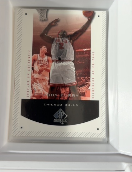 2002-03 SP Authentic #10 Eddy Curry — front