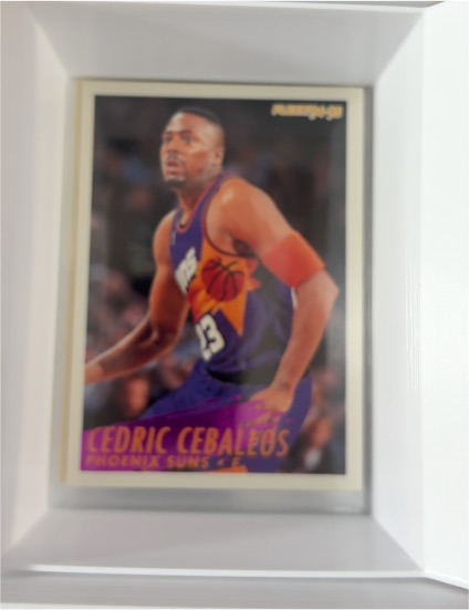 1994-95 Fleer #176 Cedric Ceballos — front