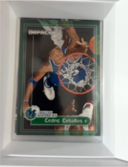 1999-00 SkyBox Impact #110 Cedric Ceballos — front