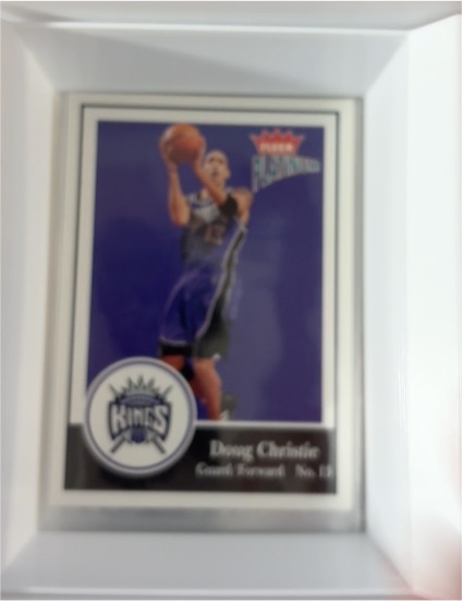 2003-04 Fleer Platinum #115 Doug Christie — front