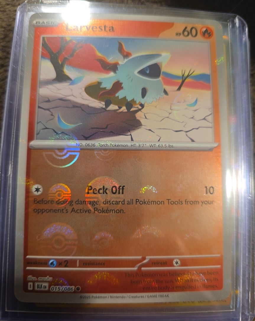 2025 Pokémon SV Black Bolt #015 Larvesta — front