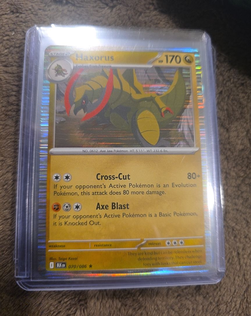 2020 Pokémon TCG Black Star Promo #070 Haxorus — front