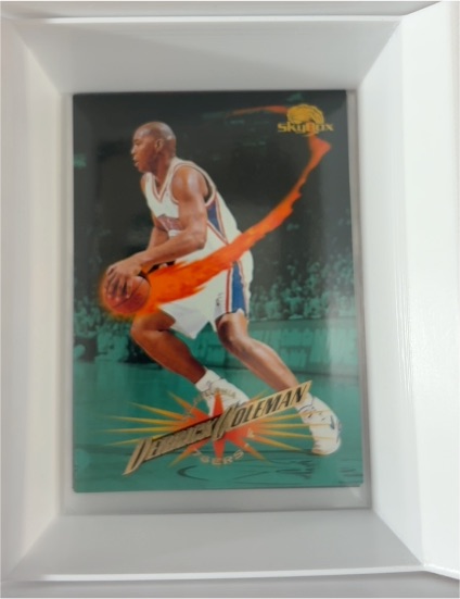 1995-96 SkyBox Premium #192 Derrick Coleman — front