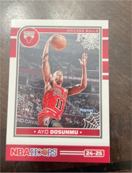 2024-25 Panini NBA Hoops Haunted Hoops #171 Ayo Dosunmu — front