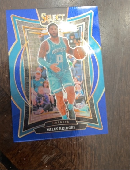2024-25 Panini Select #8 Miles Bridges — front