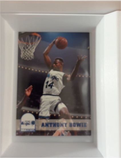 1993-94 Skybox NBA Hoops #153 Anthony Bowie — front