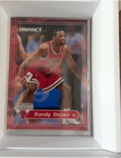 1999-00 SkyBox Impact # Randy Brown — front