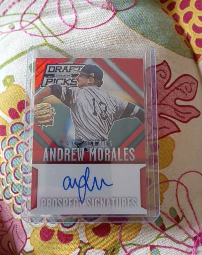 2014 Panini Prizm Perennial Draft Picks Prospect Signatures #71 Andrew Morales — front