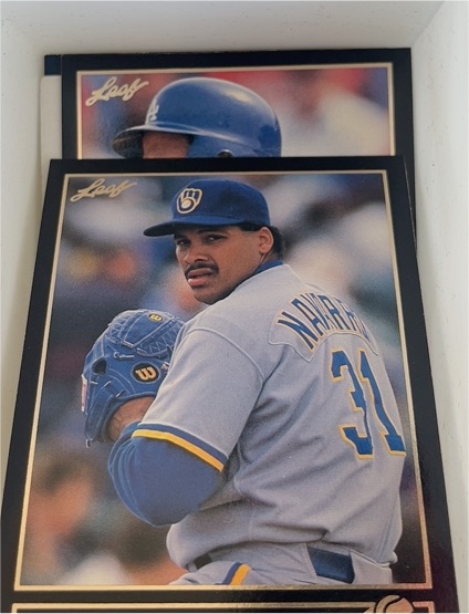 1992 Leaf #144 Jaime Navarro — front