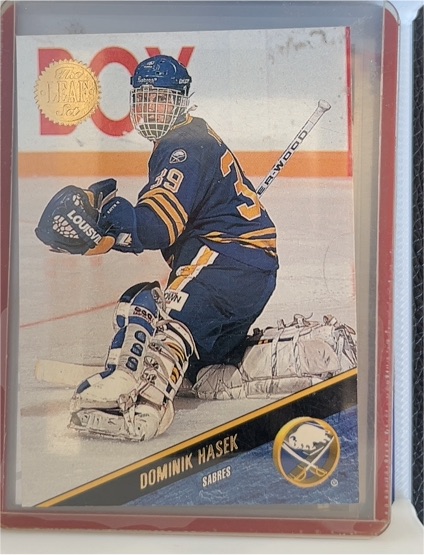 1993-94 Leaf #256 Dominik Hasek — front