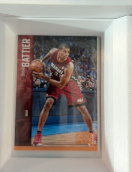 2012-13 Panini Threads #80 Shane Battier — front