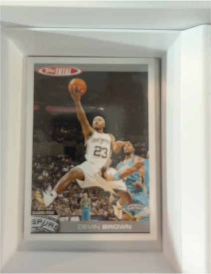 2003-04 Topps Chrome #158 Devin Brown — front