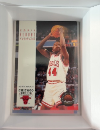 1993-94 SkyBox Premium #205 Corie Blount Rookie Chicago Bulls — front