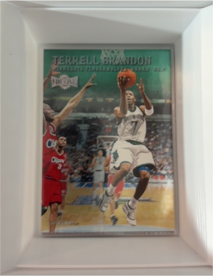 1999-00 Skybox Metal #149 Terrell Brandon — front